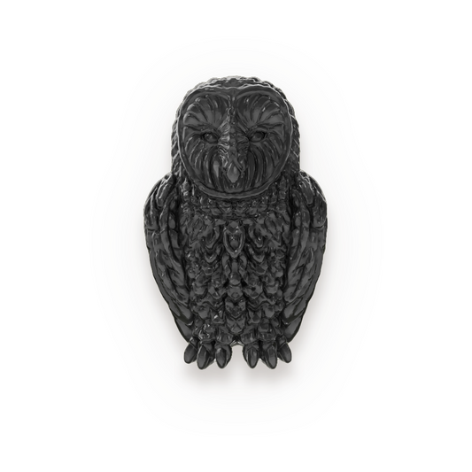 Owl | Black