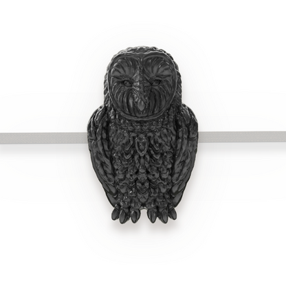 Owl | Black