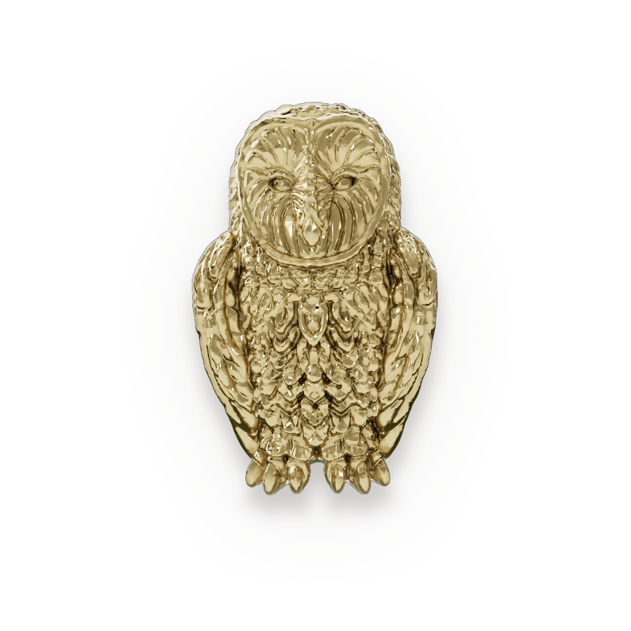 Owl | Brass