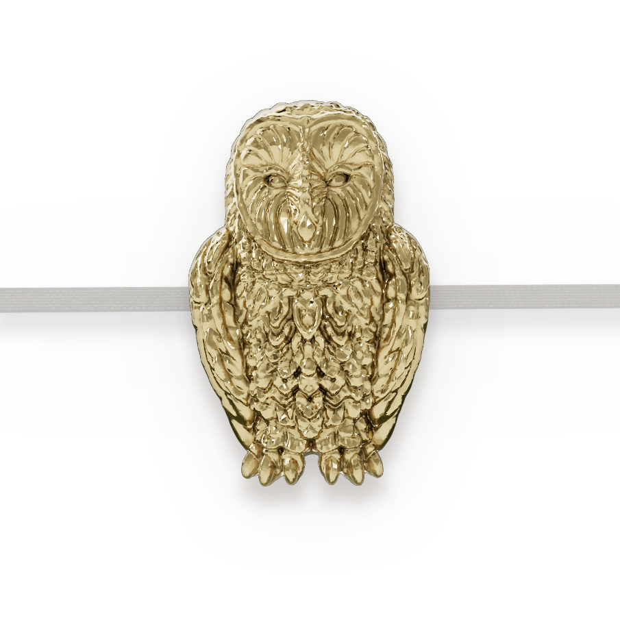 Owl | Brass