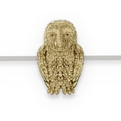 Owl | Brass
