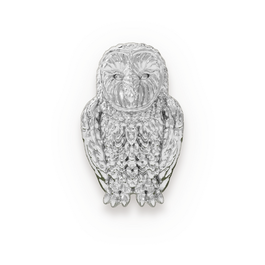 Owl | Rhodium